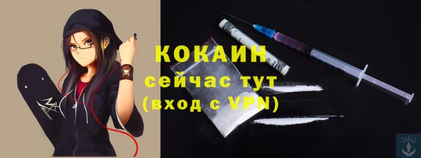 метадон Новодвинск