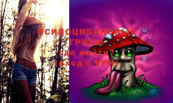 PSILOCYBIN Нягань