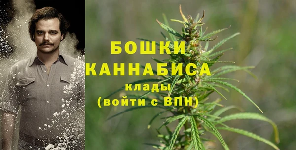 гашик Нязепетровск