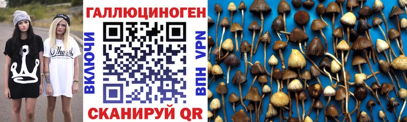 Псилоцибиновые грибы Magic Shrooms  Котово 